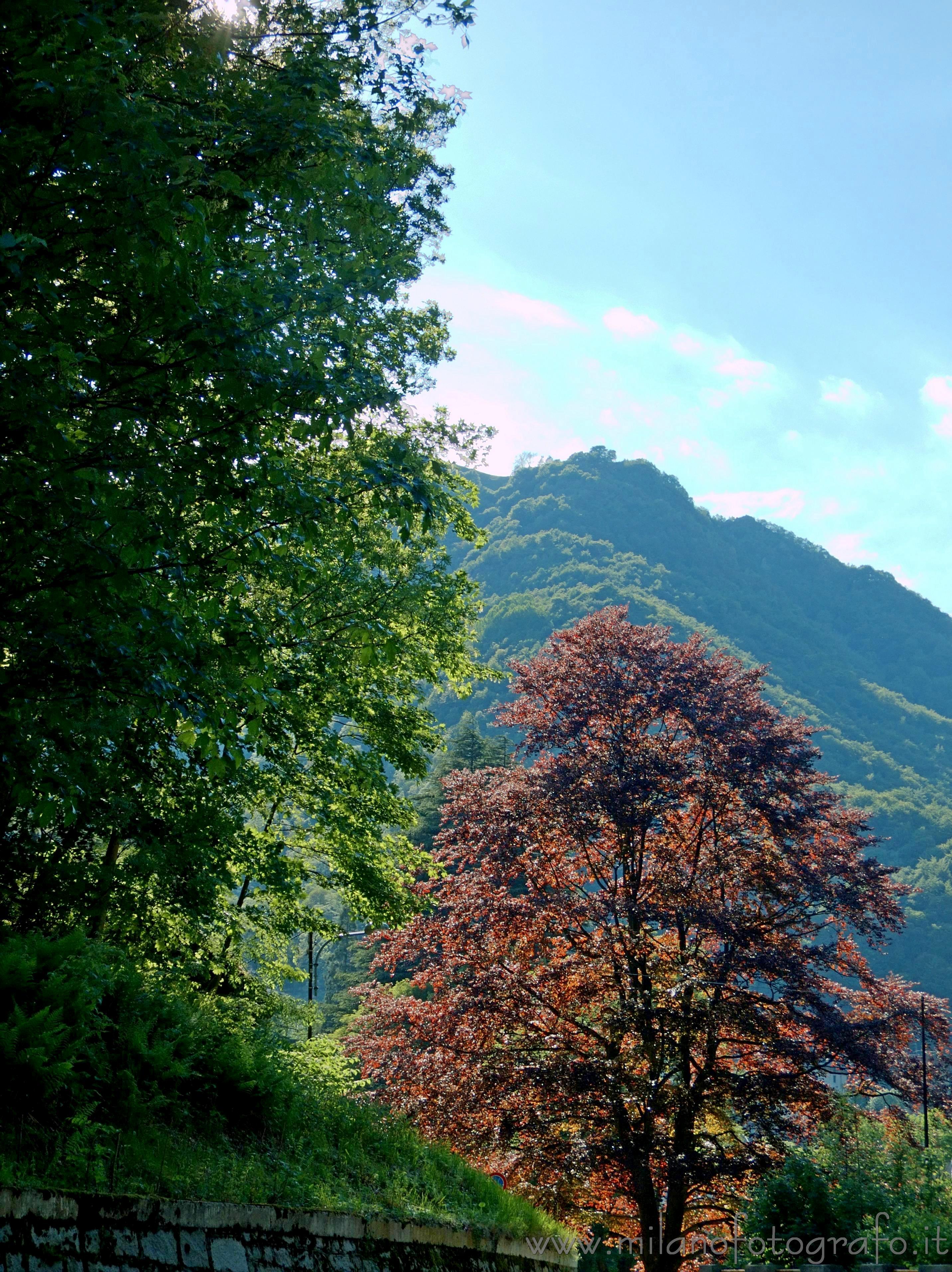 Rosazza (Biella) - Colori primaverili